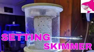 Rodaggio Schiumatoio acquario marino 😀 Setting of a protein skimmer  by Tropicalmania