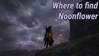 Where to find Noonflower [Dragon's Dogma]
