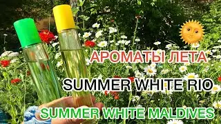 ОБЗОР АРОМАТА SUMMER WHITE PIO🌞 / SUMMER WHITE MALDIVES/🇲🇻 АРОМАТЫ ЛЕТА/🏖 МОЙ ОТЗЫВ❤️