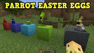 MINECRAFT - 5 BEST PARROT EASTER EGGS