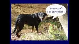 A la recherche des Emanants!