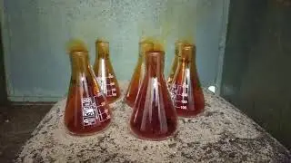 Wet Oxidation Process