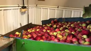 The cider press roared to life at Godfrey Run Farm in Lake City Thursday morning.