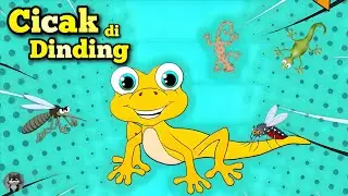 Cicak Cicak di Dinding 🦎 | Lagu Anak Balita TK & PAUD | Lagu Anak Indonesia Populer Terbaru 2025
