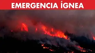 Arde la Patagonia: se declaró la EMERGENCIA por los incendios que no cesan en Chubut