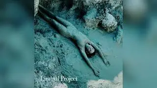 Liminal Project - Liminarit&eacute;