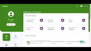 The Best Bitcoin Investment Website Script
