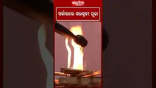 ସର୍କାରରେ ସରସ୍ୱତୀ ପୂଜା | #saraswatipuja #sarkarnews #Odisha #bhubaneswar