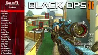 Black Ops 2 in 2023 is unplayable..