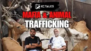 Mafia and Animal Trafficking #animaltrafficking @kctalkspodcast