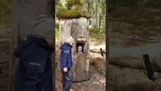 Schwarzwald 2021