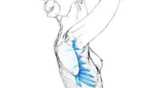 Shoulder Exercise for Healthy Posture