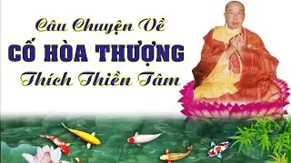 C&acirc;u Chuyện kể  Về Cố H&ograve;a Thượng - TH&Iacute;CH THIỀN T&Acirc;M. (Rất Hay) | Thiện T&acirc;m TV