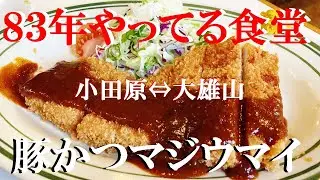 NEW 小田原ぶらり旅大雄山駅近８３年やってる老舗食堂でトコトンやって電車に乗ったら終点で車掌様に起こされた【きよ竹食堂】【餃子の王将】