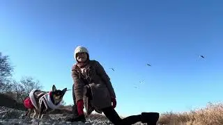 【休日10分ヨガ】