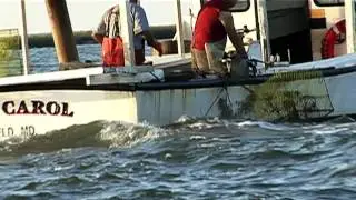 CRISFIELD, MD. 