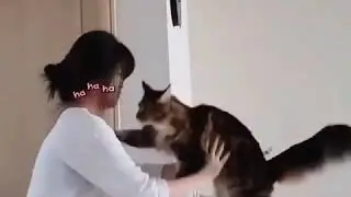 9GAG Cute