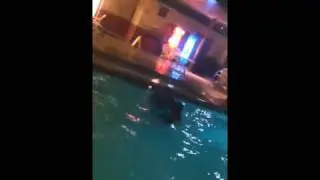 Girl thrown in pool
