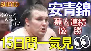 【安青錦】優勝への軌跡✨二場所連続優勝へ導いた１５日間を一気見👀【大相撲一月場所】