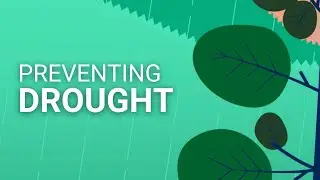 How nature can protect us from droughts