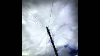 Minus Tree - Picture