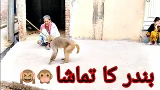 The Hilarious Monkey King: Bandar ka khail
