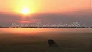 EWT African Wildlife