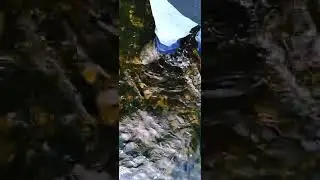 RIVER! walking !  #viral #2022 #fyp #adventure #riverdale #river