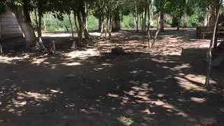 Comunidad Copacabana del R&iacute;o Ibare. Trinidad-Beni-Bolivia