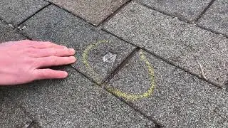 Alpha Roofing | Austin, TX | Hail Damage - Old vs. New