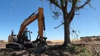 The Vogtle Job: Day Seven: Clearing Land with a Case CX210D Excavator