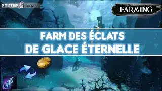 Guild Wars 2 - Farm des 