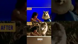 📽️ Unveiling Cinematic Secrets: Behind-the-Scenes Marvels and Movie Aftermath | MrCinama