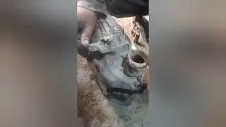 سبب من ضمن اسباب ارتفاع الحراره في الكفرات او في الفرد