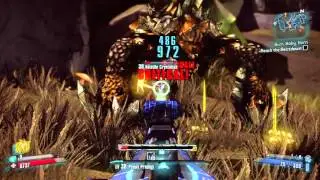 Borderlands 2 dark souls Easter egg
