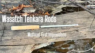 Удилище Mothrod Tenkara | ПЕРВЫЕ ВПЕЧАТЛЕНИЯ #tenkara