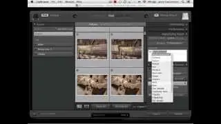 LR Camera memory card import