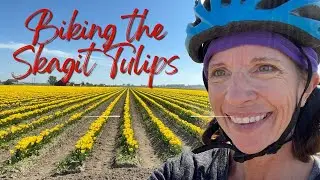 A Feast For The Eyes: Anita Johnston&rsquo;s Skagit Valley Tulip Tour