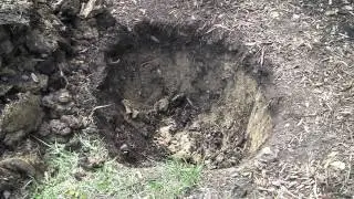 Replant Mount Oread