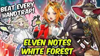 Beat The Meta with Elven Notes White Forest!