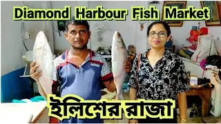 Diamond Harbour Fish Market - Diamond Harbour Nagendra Fish Market Diamond Harbour Nagendra Bazar