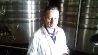 Lucian Neacsu, producător vinuri ecologice