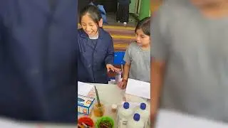 Primera Feria Expociencias Familiar 2025 - Escuela JAN N°3 Huechuraba
