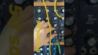 5U sorting (MOTM Synthesis Technology Modular, Roland TR-808)