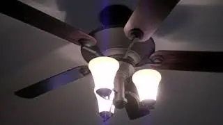 2010-2012 Lost Ceiling Fan Sightings (Various Clips)