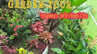 GARDEN TOUR|| BEBERAPA KOLEKSI TANAMAN DITAMAN MINIMALIS