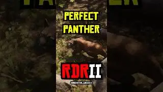 RDR 2 - Perfect Panther Pelt Location #rdr2 #shorts