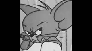 Latenight art Stream