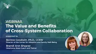 Webinar: The Value and Benefits of Cross-System Collaboration