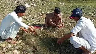Gill net Fishing in lake | hund river Fishing | چھوٹےمچھلیوں کا شکار | صوابی |